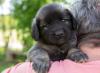 images/T-Wurf/T-Wurf Wo 6/3S8A2690_lila.jpg